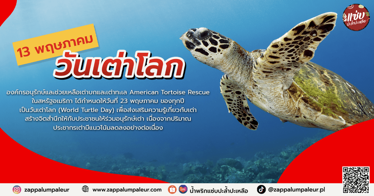 23 พฤษภาคม วันเต่าโลก (World Turtle Day)