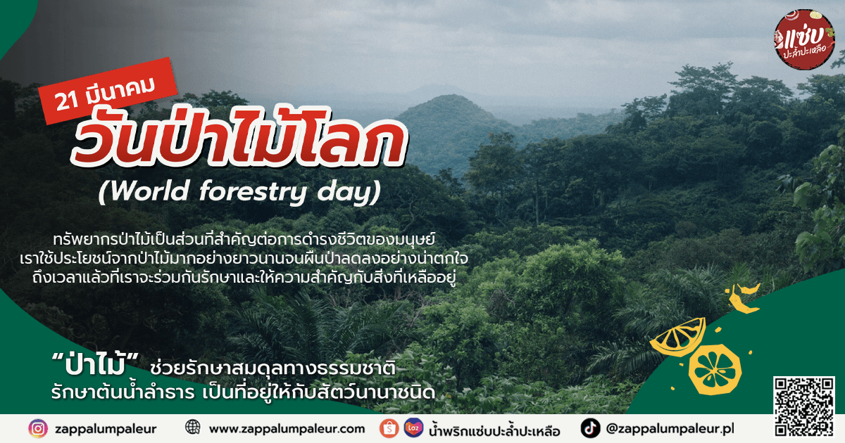 21 มีนาคม  วันป่าไม้โลก (World forestry day)