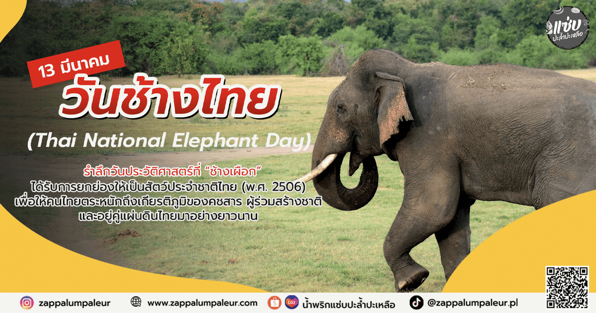 13 มีนาคม วันช้างไทย (Thai National Elephant Day)